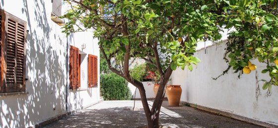 odile_-_terrace_05_2023_2400x1600.jpg Villa rentals in Spain