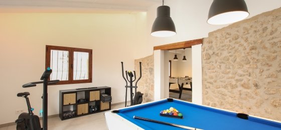 papa_-_x_game_room_01_2023_sf.jpg Book a villa holiday in Spain