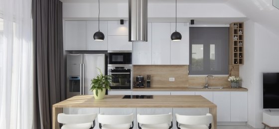 villa_rajcic_11_50107290698_o.jpg Book a villa holiday in Primosten