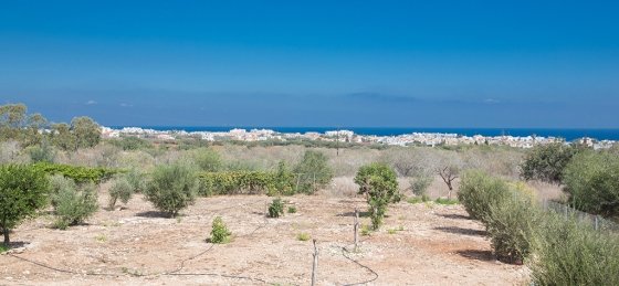 29.jpg Holiday home in Cyprus villa booking