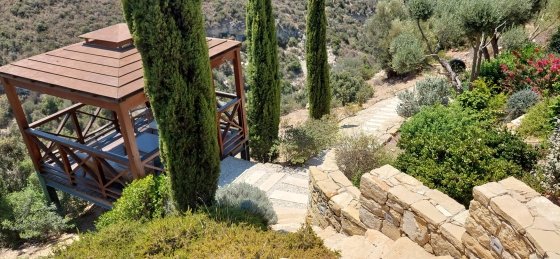 20230717_120142.jpg Book a villa holiday in Paphos