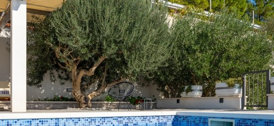 27.jpg Book a villa holiday in Dalmatia