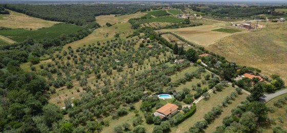 collichiari_villa_le_vigne_davide.meneghini.014.jpg Book a villa holiday in Tuscany